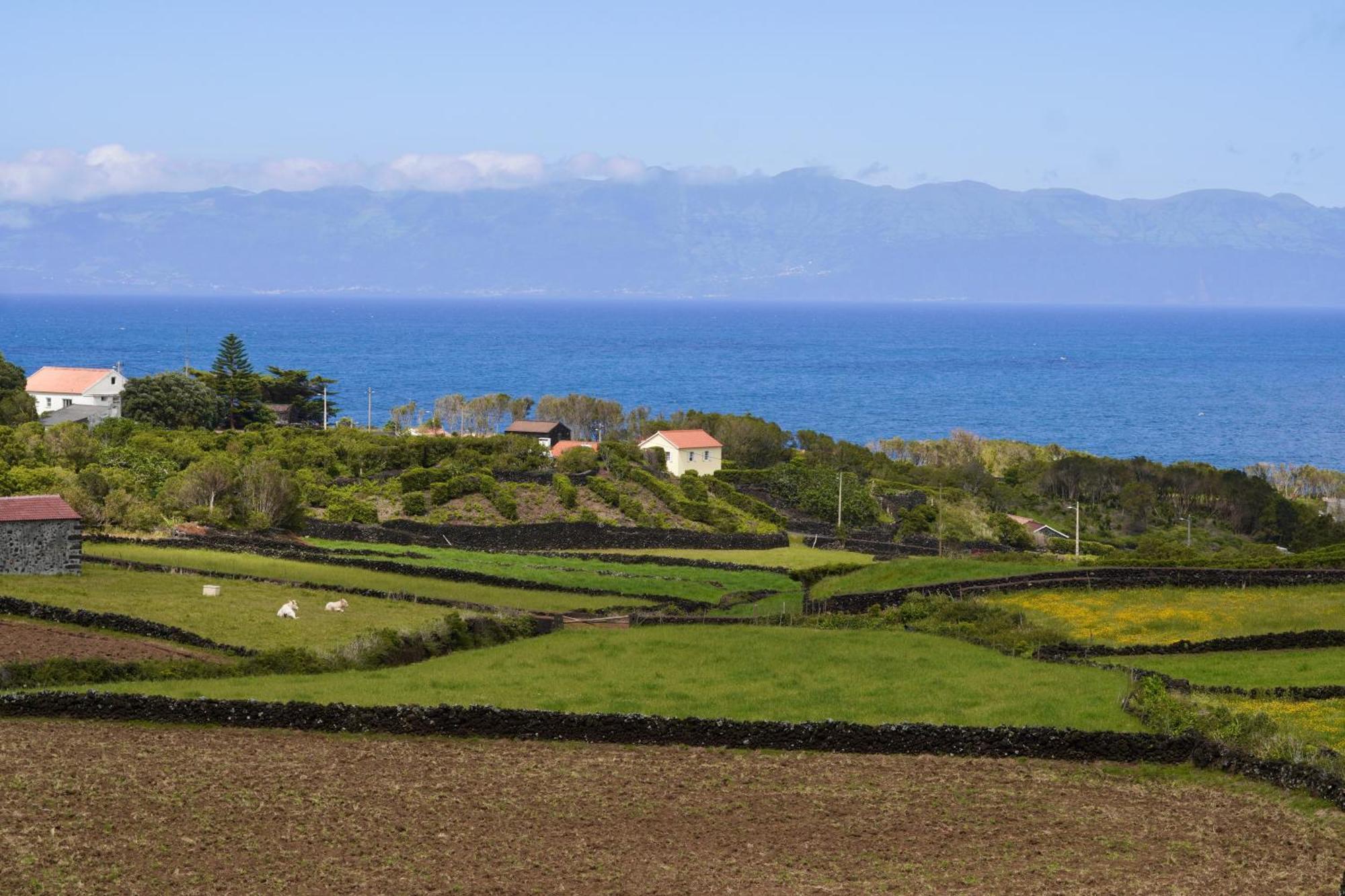 Casas Da Prainha B Villa Santo Amaro  Екстериор снимка